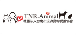 廣告